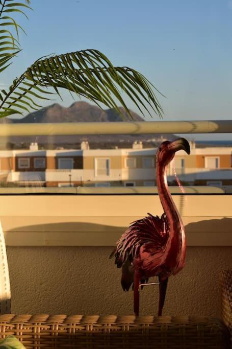 Atico Los Flamingos. Exclusive Terrace With Views Cabo De Gata エクステリア 写真